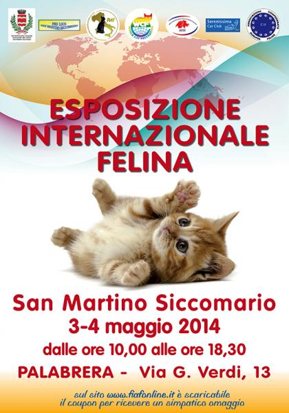 Esposizione Internazionale Felina WCF - San Martino Siccomario
