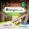 Fungolandia - La sagra del fungo in Val Brembana