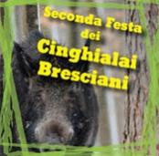 Festa dei cinghiali bresciani