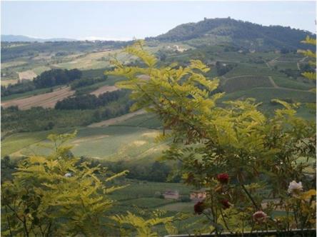 TRA VINO E CASTELLI