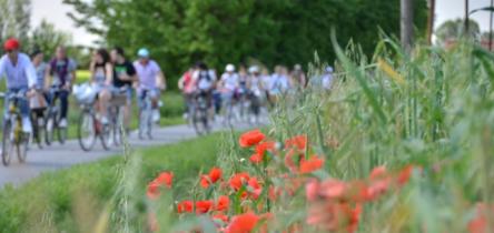 Biciclettata delle Torri - Mangialonga in Bicicletta