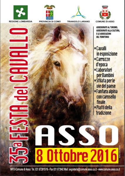 35a FESTA DEL CAVALLO