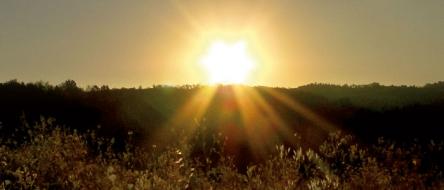 IL SENTIERO DEL SOLE