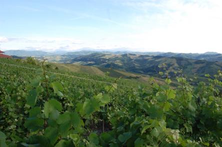 Tramonti di…vini alla cantina Ca’ del Ge’