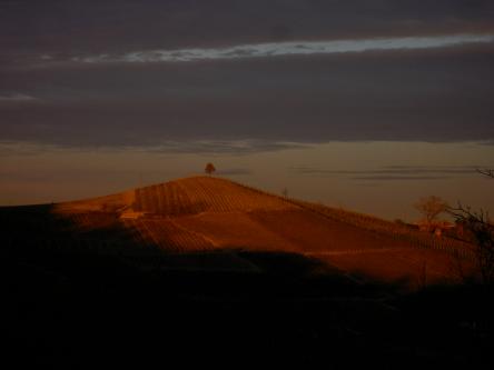 TRAMONTI DI..VINI NELLE TERRE DEL BUTTAFUOCO