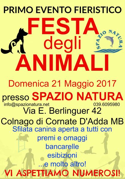 Festa degli animali