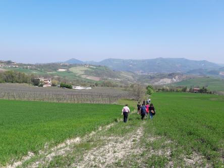 TRAMONTI DI...VINI ALLA CANTINA I “CARPINI”