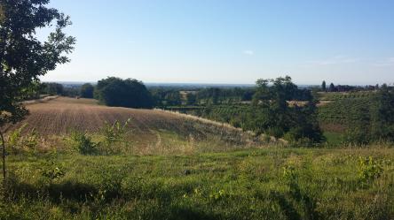 APERITIVO CON VISTA  LE PESCHE DI VOLPEDO ALL’ AGRITURISMO CHIERICONI