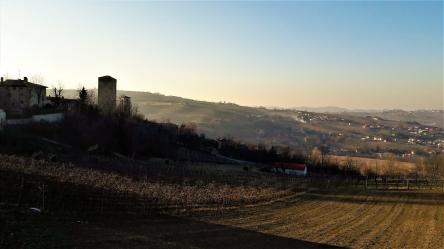 L’ ANELLO DEL PINOT NERO