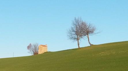 Passeggiando e assaggiando con Pellizza