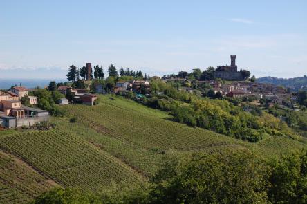 Assaggi tra vino e castelli