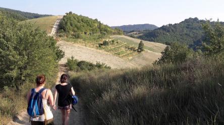 TRAMONTI DI..VINI: tra gessi ed ulivi alla Rocchetta di Mondondone