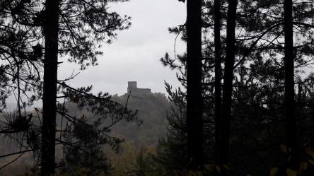 IL SENTIERO DELLE CARBONAIE