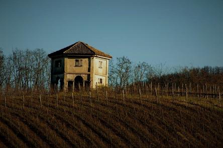 VINO E STORIA SULLE COLLINE DEL SOLE