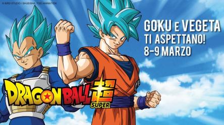 Dragon Ball Carnival party