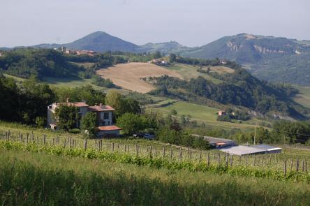 CAMMINATA DEL GUSTO NEL VECCHIO PIEMONTE
