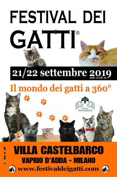 Festival dei Gatti