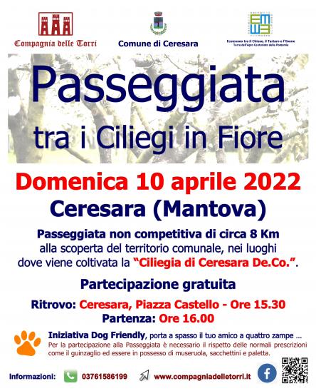 Passeggiata tra i Ciliegi in Fiore