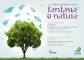 FANTASIA E FOOD ART a LE VELE