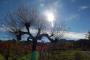 IL SENTIERO DEL SOLE