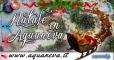 Natale in Aquaneva