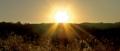 IL SENTIERO DEL SOLE