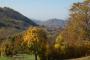23^ FESTA D’AUTUNNO DI POGGIO FERRATO CON ESCURSIONE GUIDATA TRA I PANORAMI DELLA VAL NIZZA