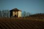 VINO E STORIA SULLE COLLINE DEL SOLE
