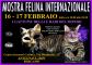 MOSTRA FELINA